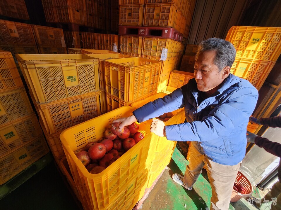 경북 예천군에서 농사짓는 박성훈씨가 자신의 저온저장고에서 저장하고 있는 사과들 가운데 냉해를 입은 것들을 보여주고 있다.