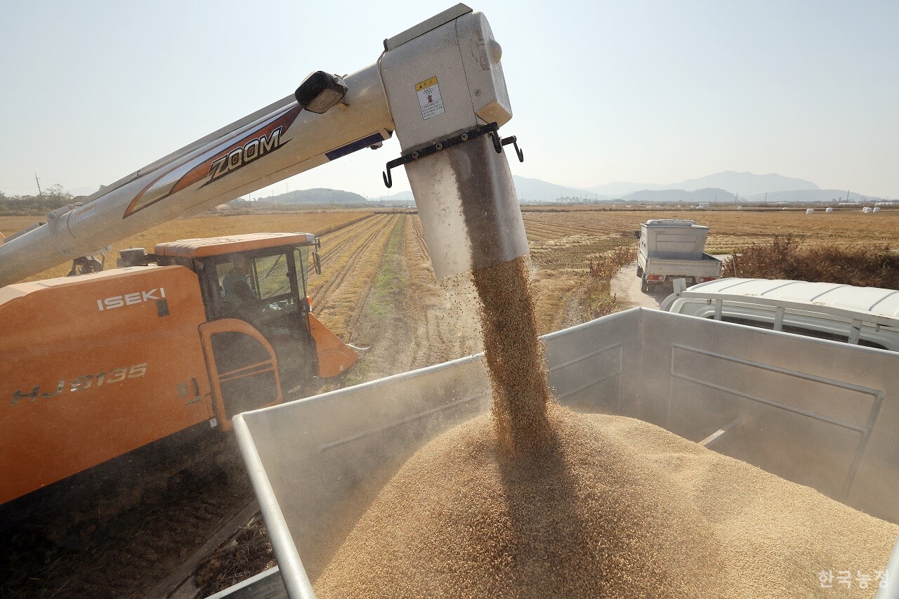 국립농산물품질관리원이 특별점검 결과, 양곡을 부정유통한 15개소를 적발했다. 사진은 지난해 가을걷이 모습. 한승호 기자