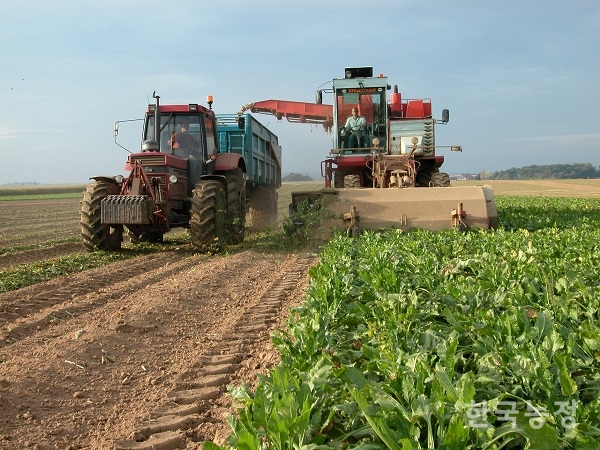 유럽연합(EU)이 기후위기 대응계획인 ‘EU 그린딜’ 속 ‘농장에서 식탁까지(Farm to Fork, F2F)’ 전략을 통해 EU 내에서의 유기농업 확대를 추구하면서도, 정작 EU에서 사용 금지된 고위험 농약 관련 수출 규제 등의 조치는 취하지 않고 있다. 농작물을 수확 중인 프랑스 농민. 프랑스 외무부 제공