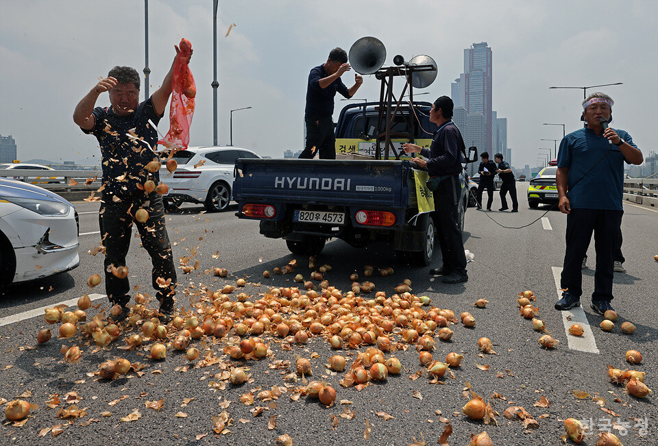 마포대교 중간에 멈춰 선 농민들이 경찰의 저지에 항의해  양파를 거리에 쏟아내고 있다.