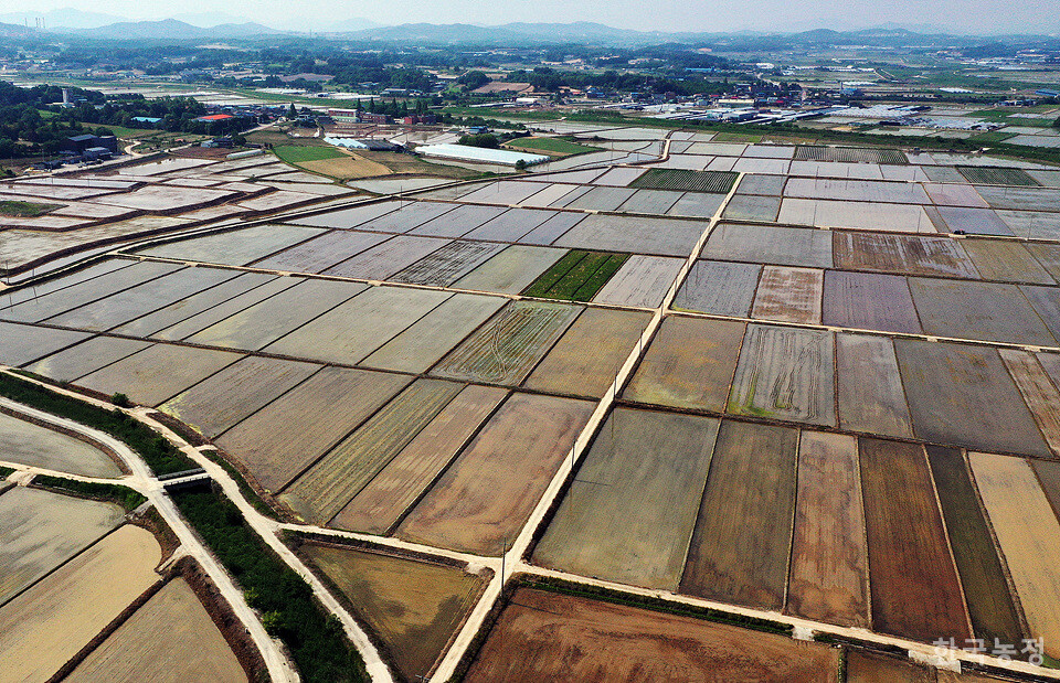조선 건국 이후 최초로 정전제를 주장한 개혁가 유형원은 우물정자(井)식 중국의 정전제를 버리고 조선의 산과 강을 경계로 하는, 양반도 인정하고 땅과 군역을 일치시키는, 백성들에게 당장 시급한 정전제를 설계했다. 사진은 경기 여주 들녘. 한승호 기자
