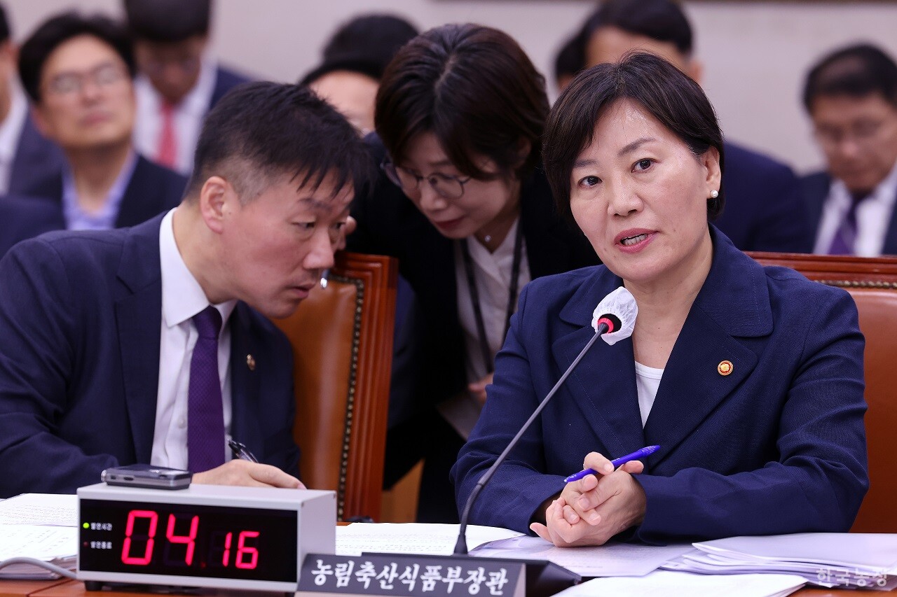 지난달 9일 국회 농림축산식품해양수산위원회 회의실에서 열린 제22대 국회 첫 농림축산식품부 업무보고에서 송미령 장관이 더불어민주당이 발의한 양곡관리법 개정안에 대해 답변하고 있다. 한승호 기자