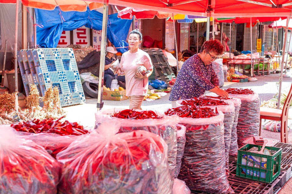 보령오일장에서 팔리는 안면도산 고추들. 사진 류관희 작가