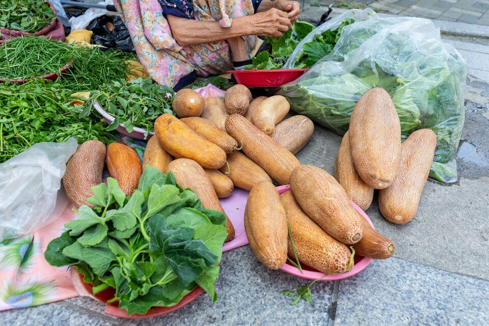노인의 갈라터진 다리를 닮아 붙은 이름 노각. 사진 류관희 작가