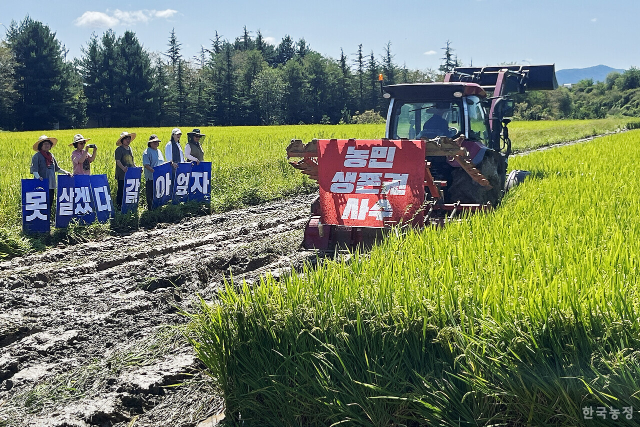 지난 4일 경북 상주시 낙동면에서 열린 ‘쌀값 보장! 농민생존권 사수! 전농 경북도연맹 논 갈 아엎기 투쟁’에서 한 농민이 트랙터로 논을 갈아엎고 있다.