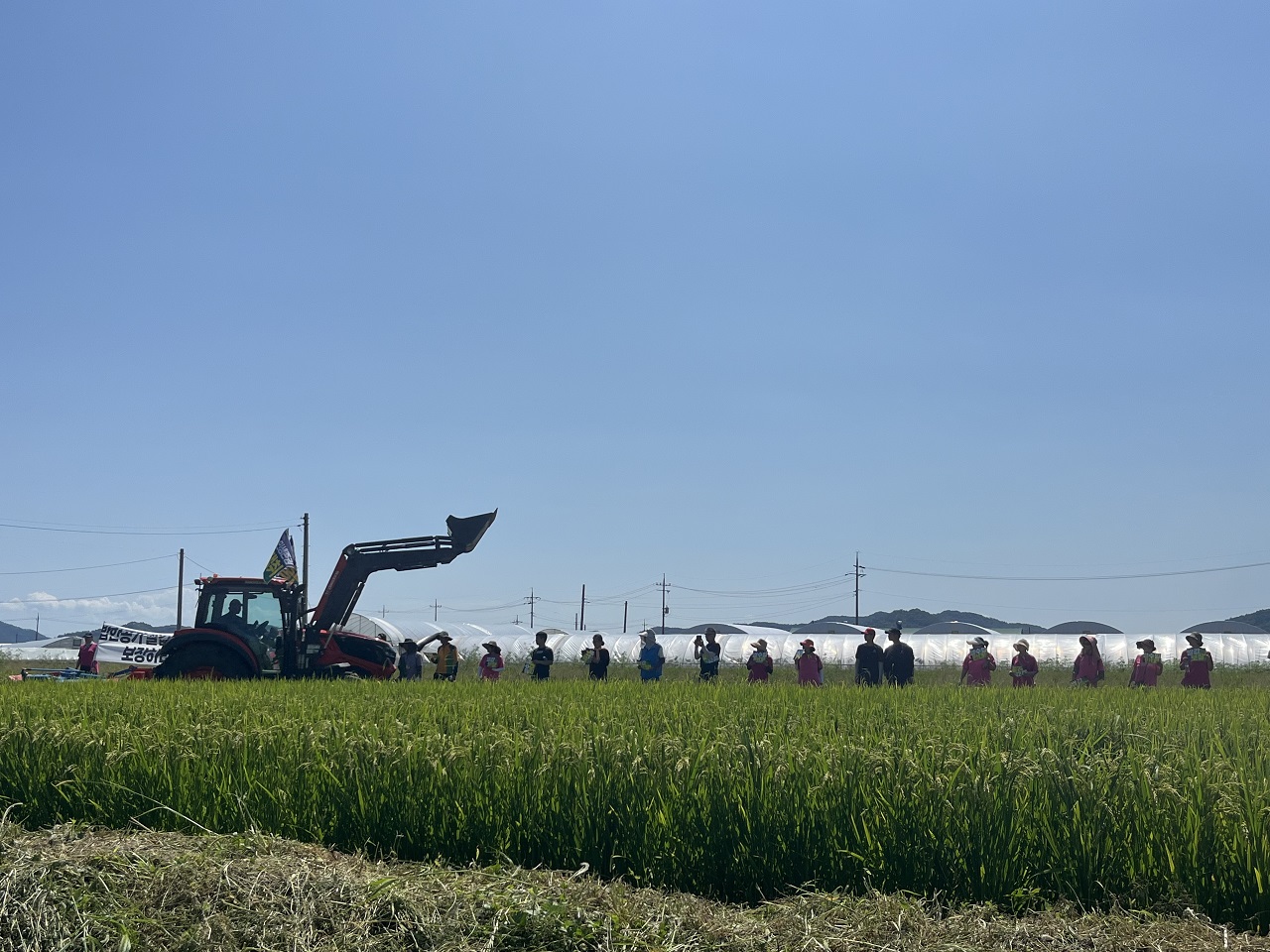 지난 4일 부여 논 갈아엎기 투쟁 현장에서 농민들이 피켓을 들고 도열해 있다. 부여군농민회 제공