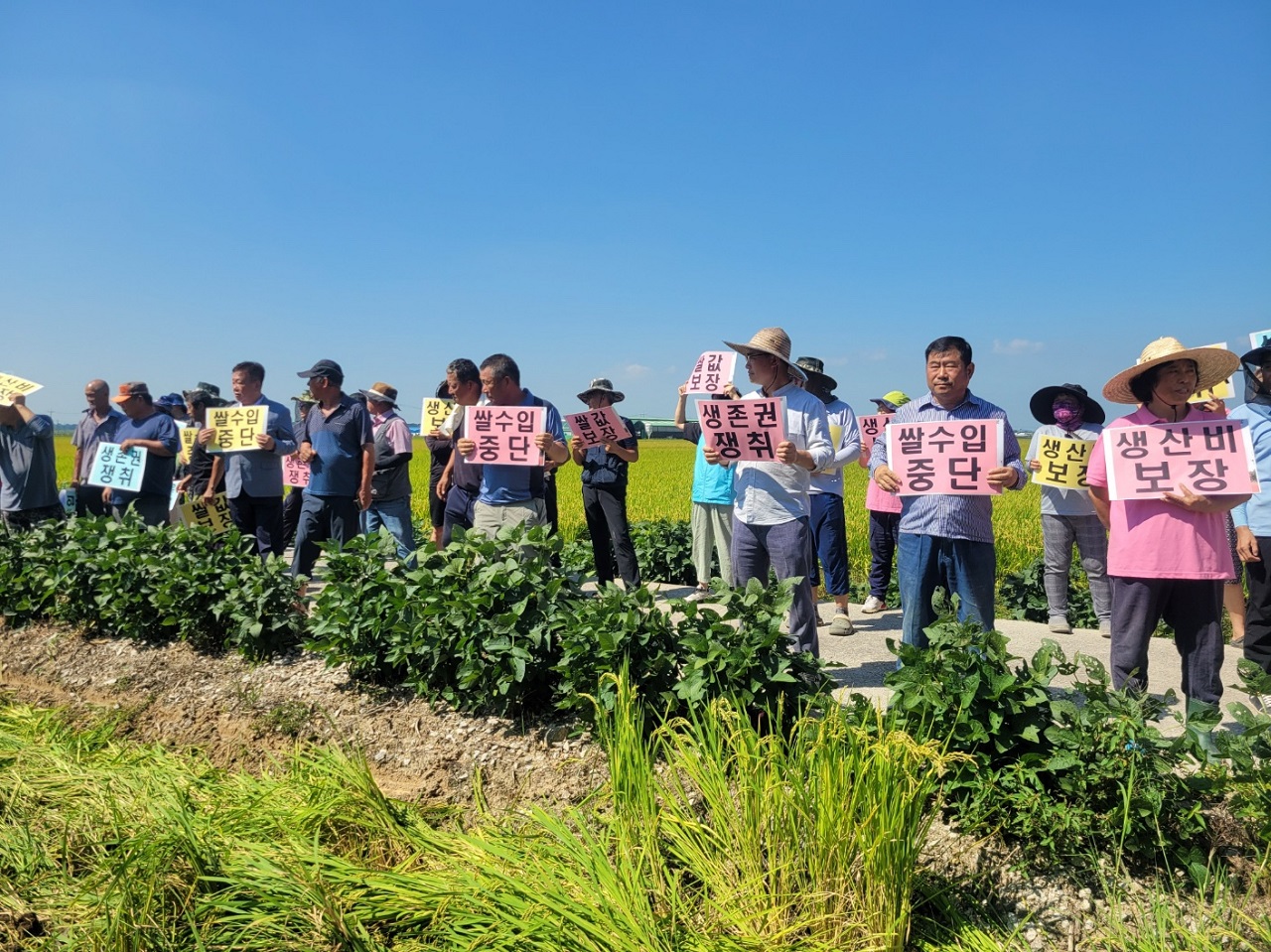 5일 논산 논 갈아엎기 현장. 논산시농민회 제공
