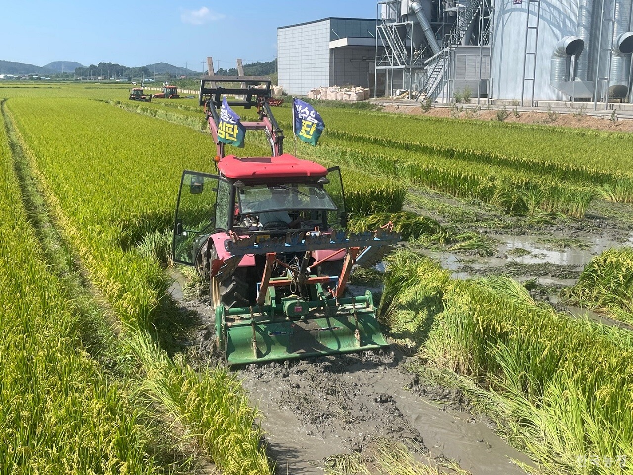 5일 서천 논 갈아엎기 현장. 서천군농민회 제공