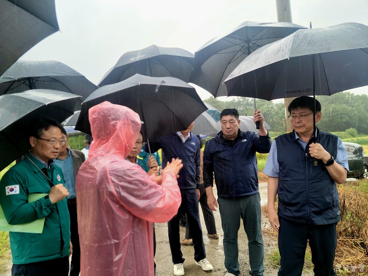 정철 영암군농민회장(왼쪽 두 번째 우의 입은 이)이 서삼석 의원(오른쪽 첫 번째)에게 사태의 심각성을 설명하고 있다.