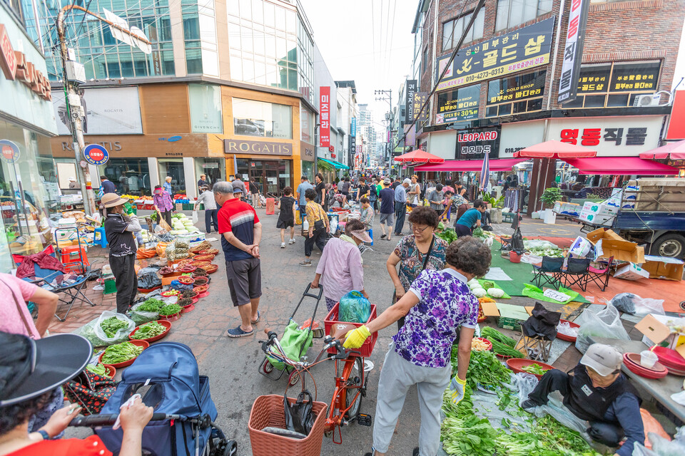 오전 7시의 진주새벽시장 전경. 류관희 작가
