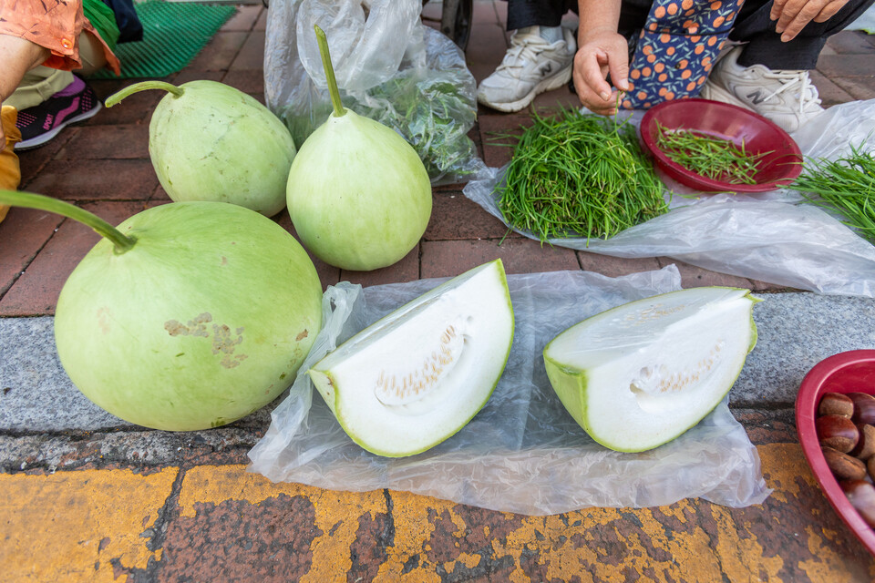 바가지만 만들지 않아요, 나물이나 국으로 맛있게 해먹어요.류관희 작가