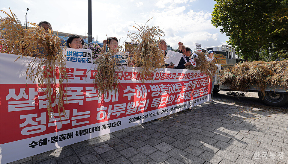 30일 오후 서울 용산구 대통령실 앞에서 열린 ‘병충해·수해 특별대책 촉구대회’에서 국민과함께하는농민의길과 전국민중행동 대표자, 전종덕 진보당 의원 등이 벼멸구 피해가 선명한 볏단을 들고 기후재난에 의해 발생한 자연재해에 대해 ‘특단의 대책’ 마련을 정부에 촉구하고 있다. 한승호 기자