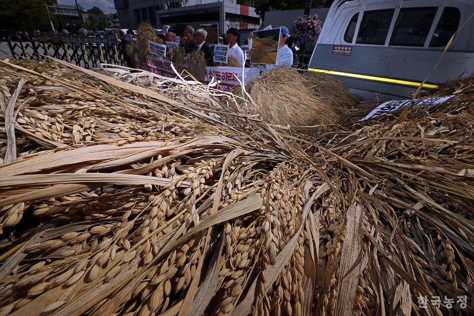 30일 오후 서울 용산구 대통령실 앞에서 ‘병충해·수해 특별대책 촉구대회’가 진행되는 가운데 전남에서 농민들이 끌고 온 트럭 적재함에 벼멸구 피해 볏단이 쌓여있다. 한승호 기자
