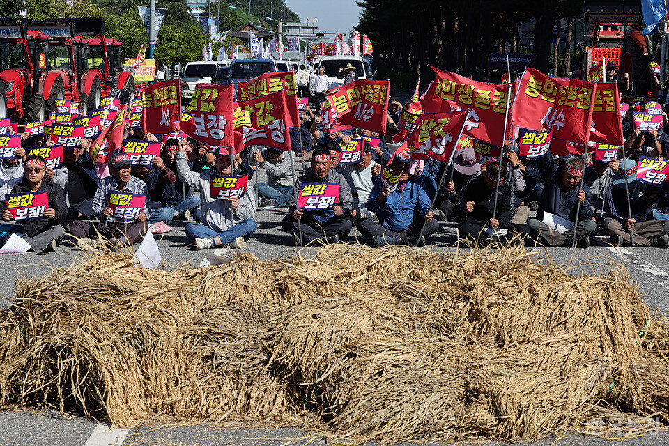 2일 오후 전남 무안군 전남도청 앞에서 열린 ‘쌀값보장! 재난대책 수립! 광주전남농민대회’에서 농민들이 멸구 피해로 못 쓰게 된 벼를 쌓아놓고  ‘벼멸구 재해 인정’ 등을 정부에 요구하고 있다. 한승호 기자