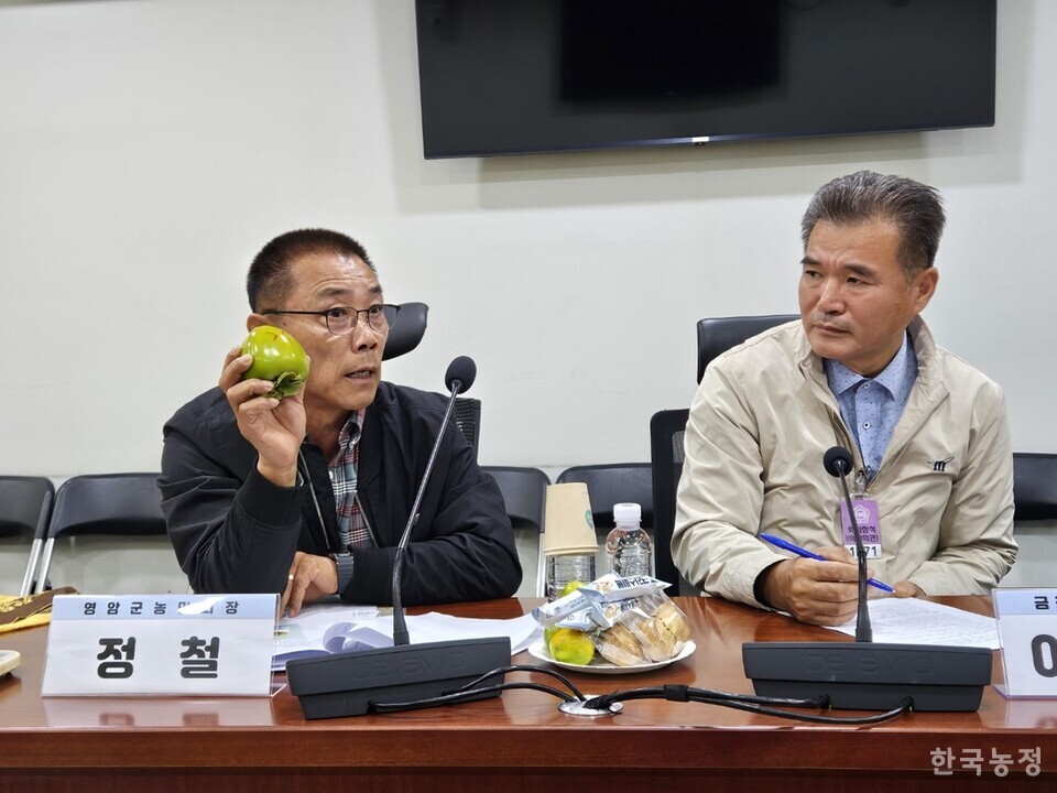 정철 금정대봉감대책위원회 집행위원(왼쪽)이 실물 떫은감을 보여주며 농작물재해보험의 평균 과중 기준을 개선해야 한다고 요구했다. 