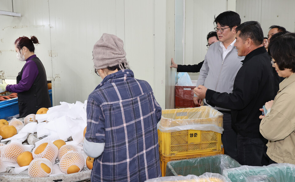 권재한 농촌진흥청장이 지난 21일 충남 천안시에서 배 열과 피해 현황을 점검했다. 농촌진흥청 제공