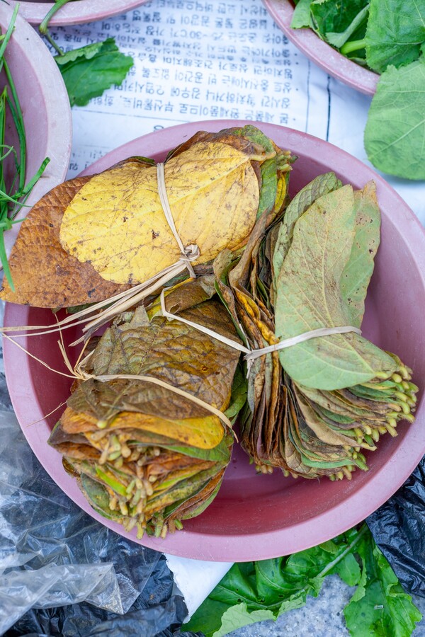 사진 류관희 작가