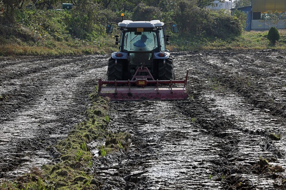 가을철 이상기후로 국산밀 파종이 차질을 빚고 있는 가운데 지난 12일 전남 구례군 광의면 들녘에서 홍순영씨가 밀 파종에 나서기 전 계속되는 비에 젖어 있는 논을 말리기 위해 트랙터로 로터리를 치고 있다. 한승호 기자