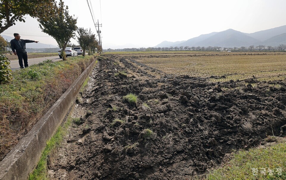 최용범 구례밀영농조합법인 본부장이 지난 12일 전남 구례군 광의면에서 국산밀을 파종하기 전 배수로 작업을 끝낸 논을 가리키고 있다. 한승호 기자