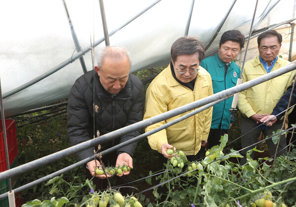 경기도는 2일 김동연 경기도지사가 경기 평택시 등 폭설로 인한 농업 피해 현장을 방문해 상황을 확인하고 특별재난지역 선포 지정을 중앙정부에 요청했다고 밝혔다. 경기도 제공