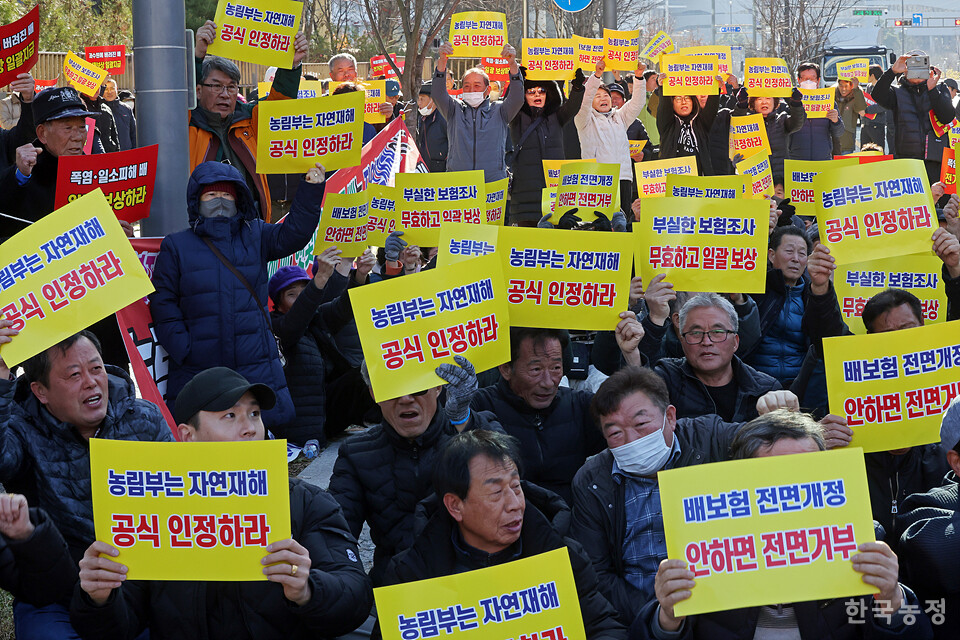 지난 4일 정부세종청사 농림축산식품부 앞에서 열린 ‘폭염재해 일소피해 배 재해대책 촉구 전국 배농가 대표자대회’에서 농민들이 폭염 일소피해 자연재해 인정 및 일괄 보상 등을 정부에 촉구하고 있다. 한승호 기자
