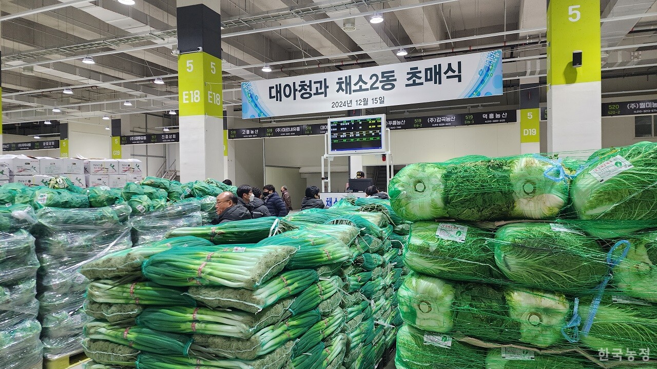 지난 15일 본격 영업 전 배추·무·양배추·대파 등 대표품목의 초매식이 진행됐다.