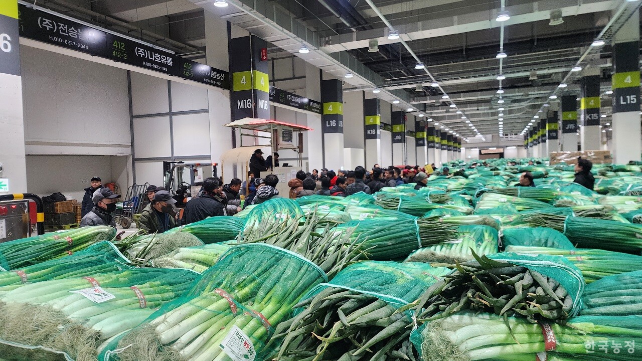 국내 최초로 정온시설이 도입된 채소2동 경매장에서 지난 15일 대파 경매가 진행되고 있다.