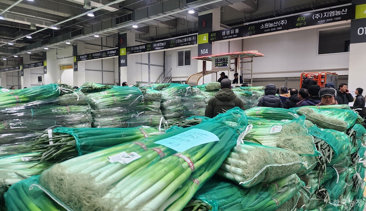 가락동농수산물도매시장 시설현대화사업 도매권 1공구에 해당하는 채소2동이 완공돼 대파 경매가 진행되고 있다. 기존 비가림시설보다 내부 조도가 2배 넘게 높아진 것은 물론 국내 최초로 도입된 정온시설과 실내 공기질 자동관리시스템이 특징이다.