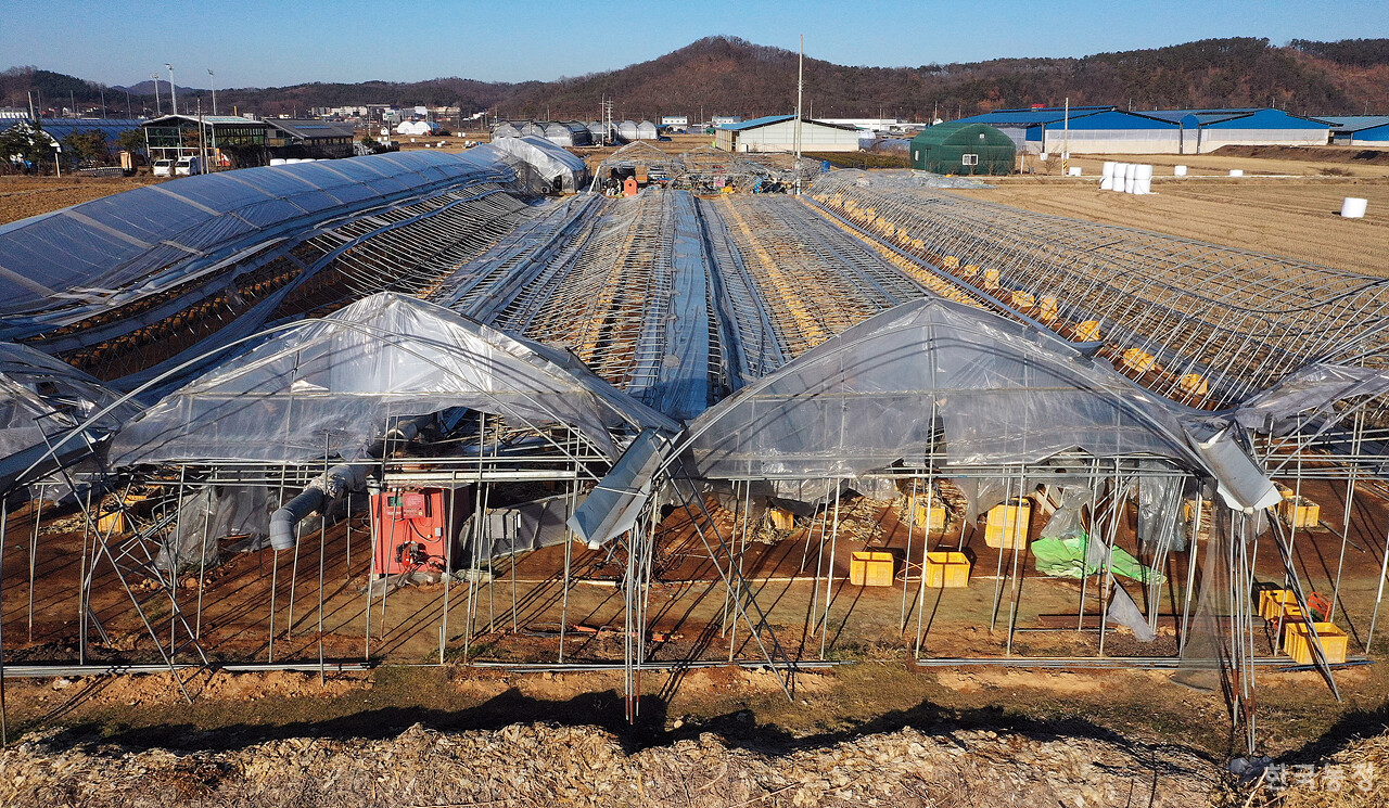 폭설에 완전히 무너진 남사읍의 한 시설원예 하우스가 한 달째 그대로 방치돼 있다.