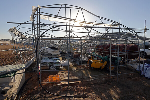폭설에 완전히 무너진 남사읍의 한 시설원예 하우스가 한 달째 그대로 방치돼 있다.