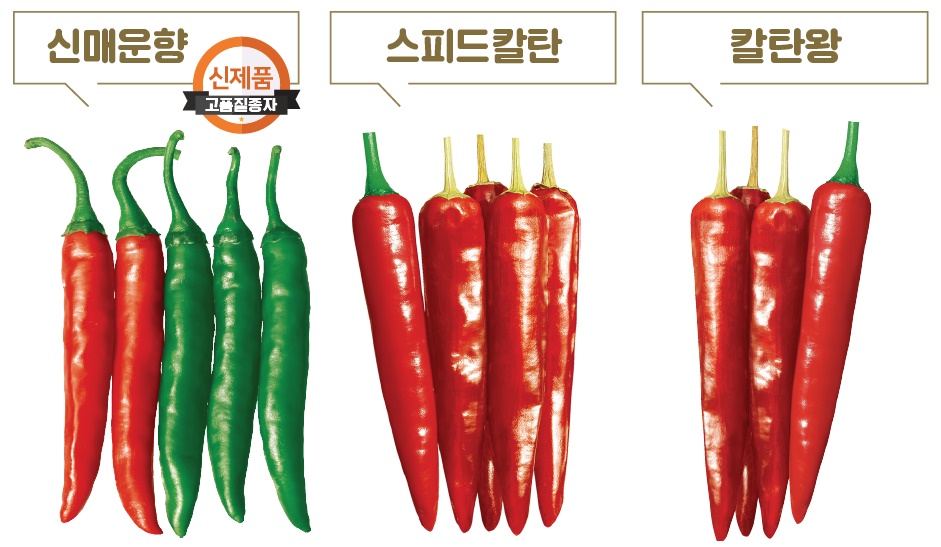 동오시드 고추 3종. 동오시드 제공 