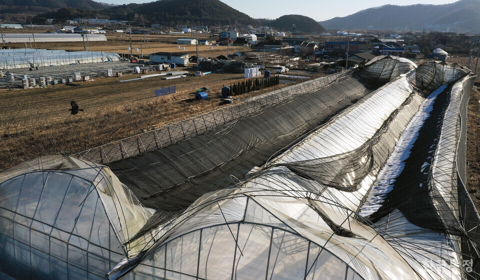 폭설에 무너진 남사읍의 한 시설원예 하우스 위에 당시 내린 눈이 녹지 않은 채 그대로 남아 있다. 한승호 기자
