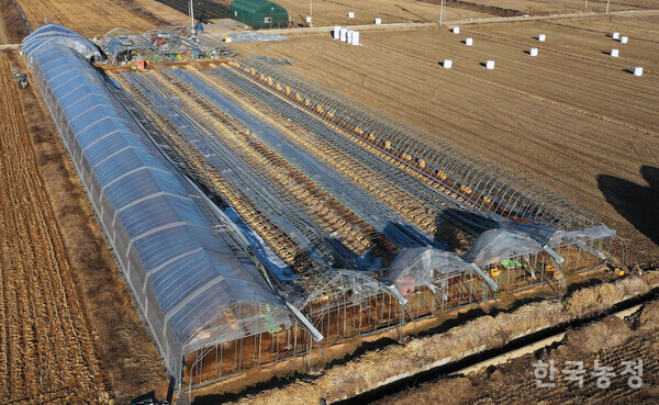 폭설에 완전히 무너진 남사읍의 한 시설원예 하우스가 한 달째 그대로 방치돼 있다. 한승호 기자