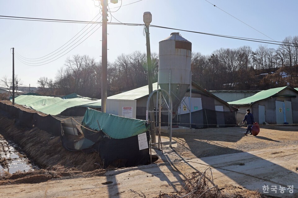 지난해 12월 31일 경기 화성시 양감면의 한 종계육성농장 축사가 무너져 있다. 한승호 기자