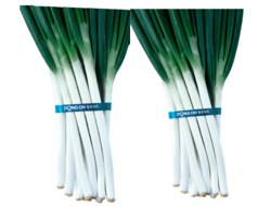 까메오플러스(왼쪽)와 금맥. 동오시드 제공