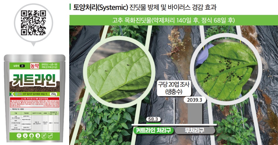 커트라인의 진딧물 방제 및 바이러스 경감 효과. (주)경농 제공 