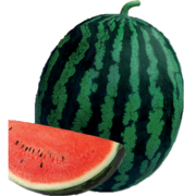 호랑이꿀 수박. 동오시드