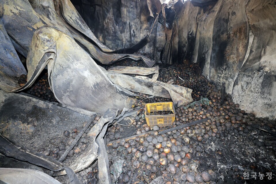  지난달 31일 찾아간 경북 안동시‧의성군 산불 피해 현장에는 사과 농가들의 피해사례가 즐비했다. 저장사과와 함께 통째로 불탄 안동시 임하면 추목리 한 저장고의 모습. 한승호 기자   