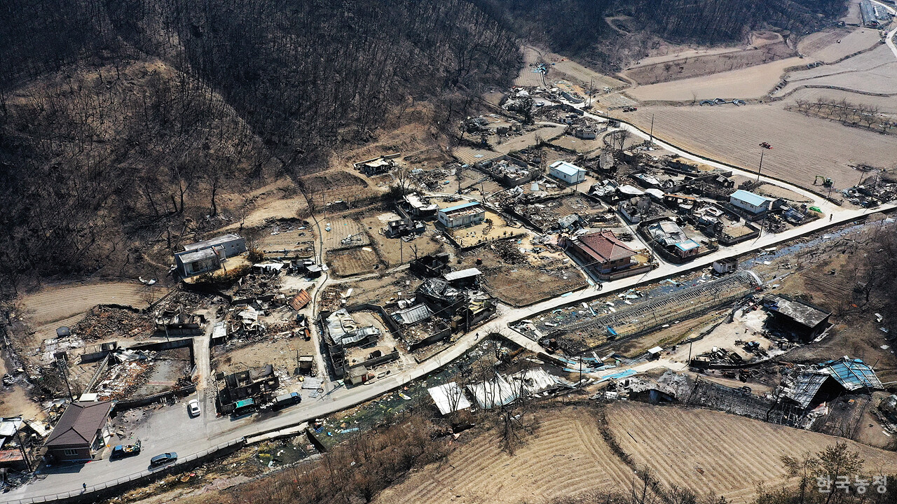 지난달 31일 경북 안동시 남선면 신흥리 마을이 역대 최악의 산불로 인해 초토화 돼 있다.