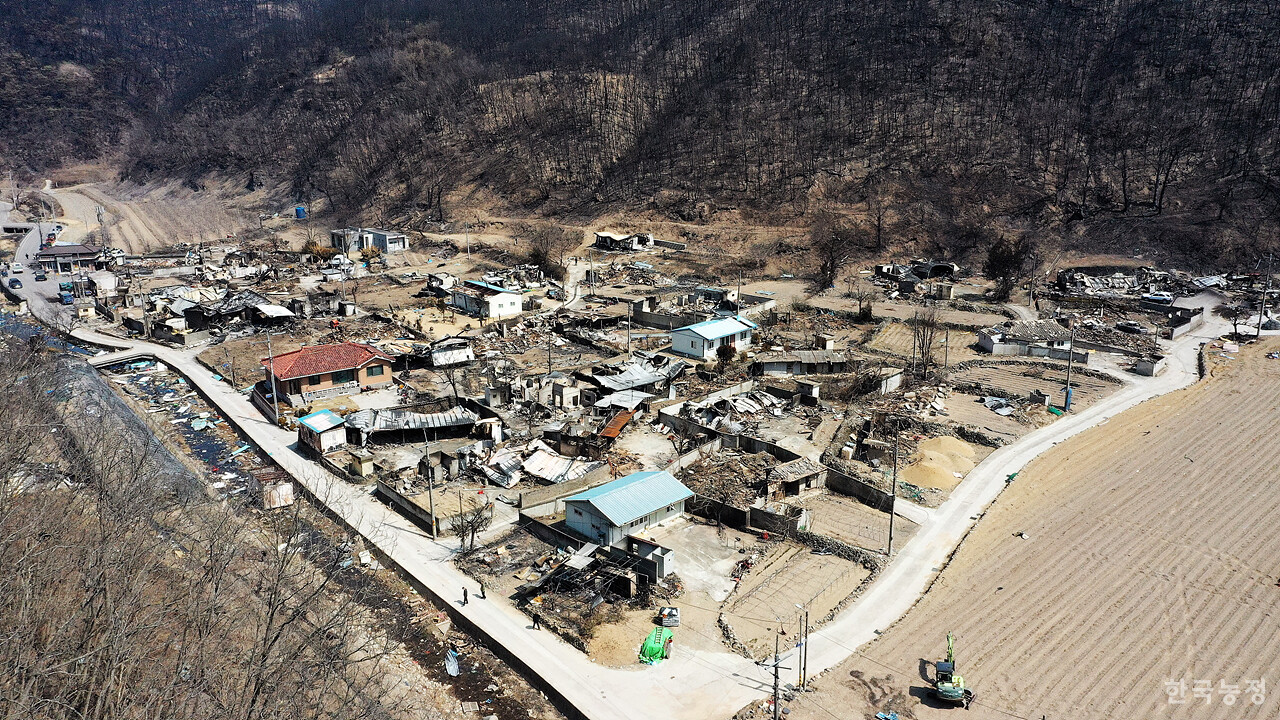 지난달 31일 경북 안동시 남선면 신흥리 마을이 역대 최악의 산불로 인해 초토화 돼 있다.