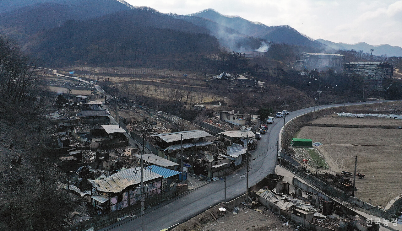 지난달 31일 경북 안동시 임하면 추목리 한 마을이 역대 최악의 산불로 인해 초토화 돼 있는 가운데 비료 등이 타는 연기가 여전히 피어오르고 있다.