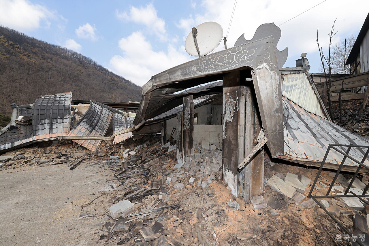 지난달 31일 경북 안동시 남선면 신흥리 마을이 역대 최악의 산불로 인해 초토화 돼 있다.