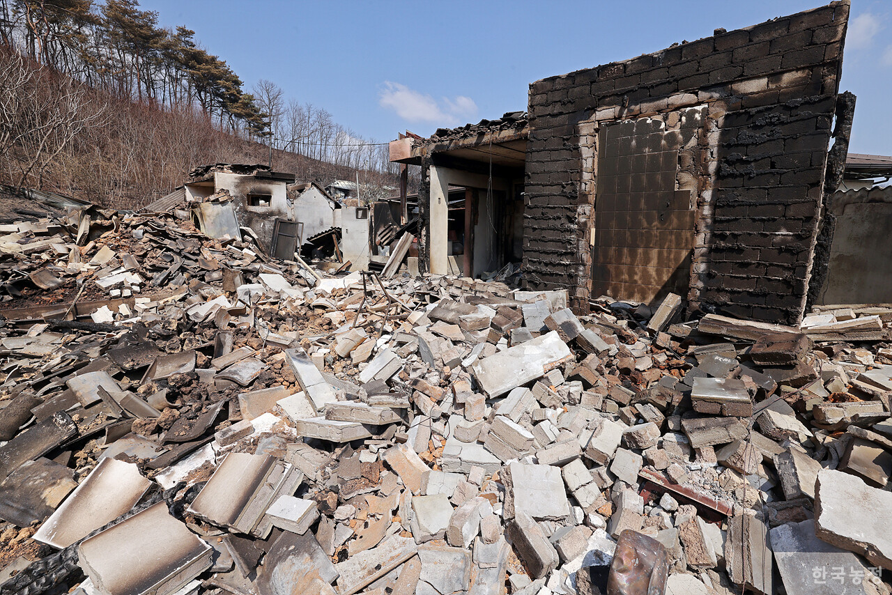 지난달 31일 경북 안동시 남선면 신흥리 마을이 역대 최악의 산불로 인해 초토화 돼 있다.