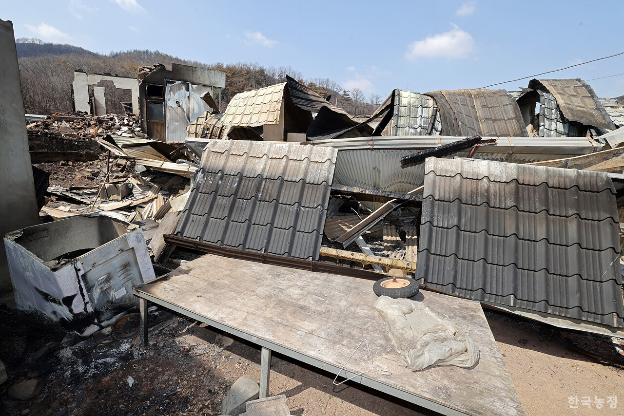지난달 31일 경북 안동시 남선면 신흥리 마을이 역대 최악의 산불로 인해 초토화 돼 있다.