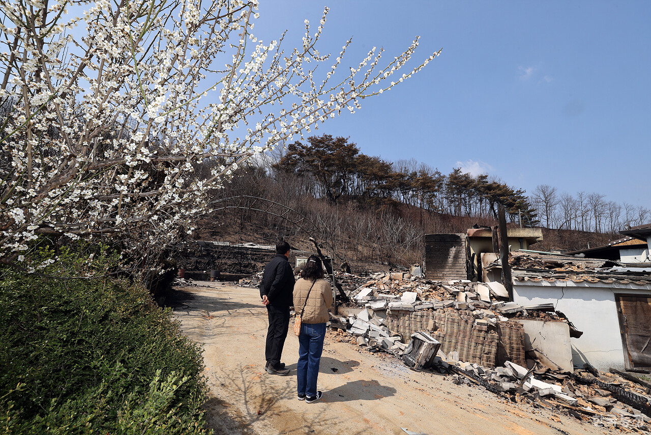 지난달 31일 경북 안동시 남선면 신흥리 마을이 역대 최악의 산불로 인해 초토화 돼 있다.