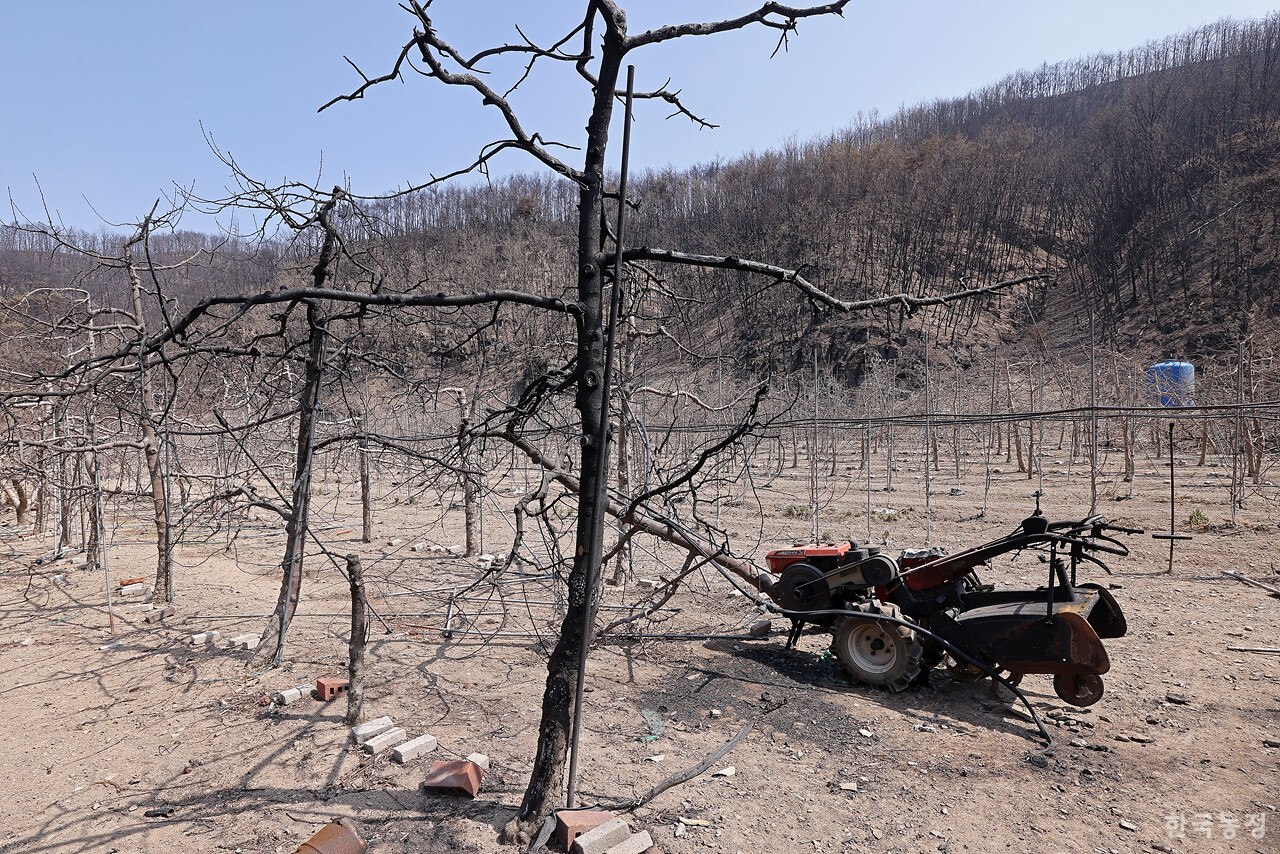 지난달 31일 경북 안동시 남선면 신흥리 마을이 역대 최악의 산불로 인해 초토화 돼 있다.