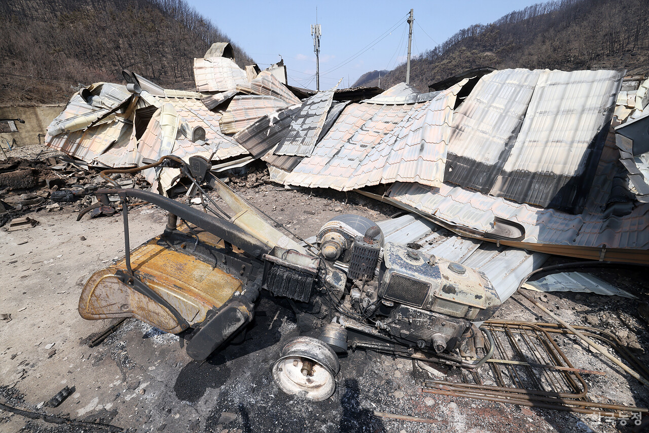 지난달 31일 경북 안동시 남선면 신흥리 마을이 역대 최악의 산불로 인해 초토화 돼 있다.