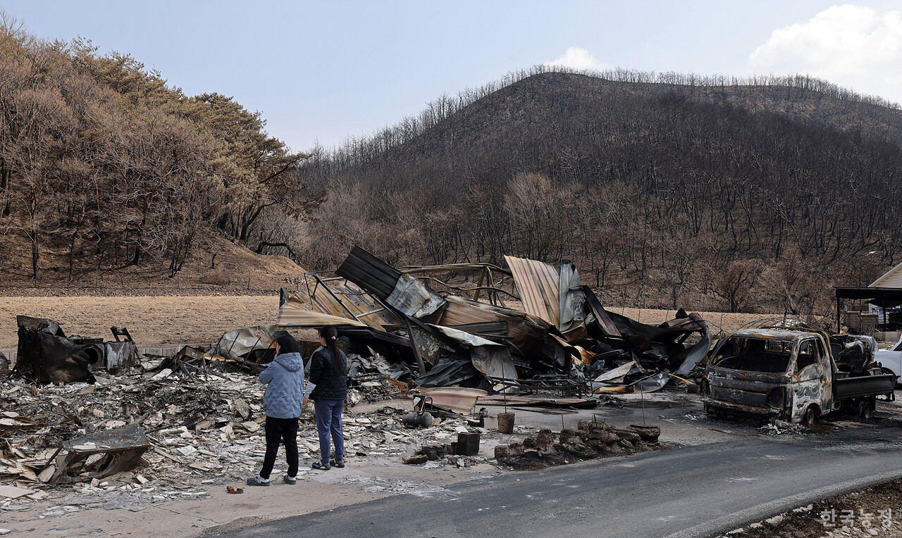 지난달 31일 경북 의성군 점곡면 사촌리 농가주택과 저장고, 농기계 등이 역대 최악의 산불로 인해 초토화 돼 있는 가운데 주민들이 피해 현장을 둘러보고 있다.