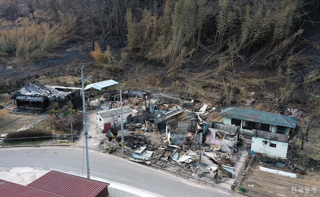 지난 1일 경남 산청군 시천면 중태리 한 농가주택이 역대 최악의 산불로 인해 초토화 돼 있다.