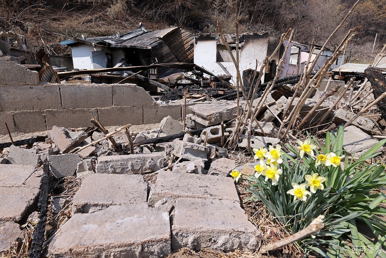 지난 1일 경남 산청군 시천면 중태리 한 농가주택이 역대 최악의 산불로 인해 초토화 돼 있다.